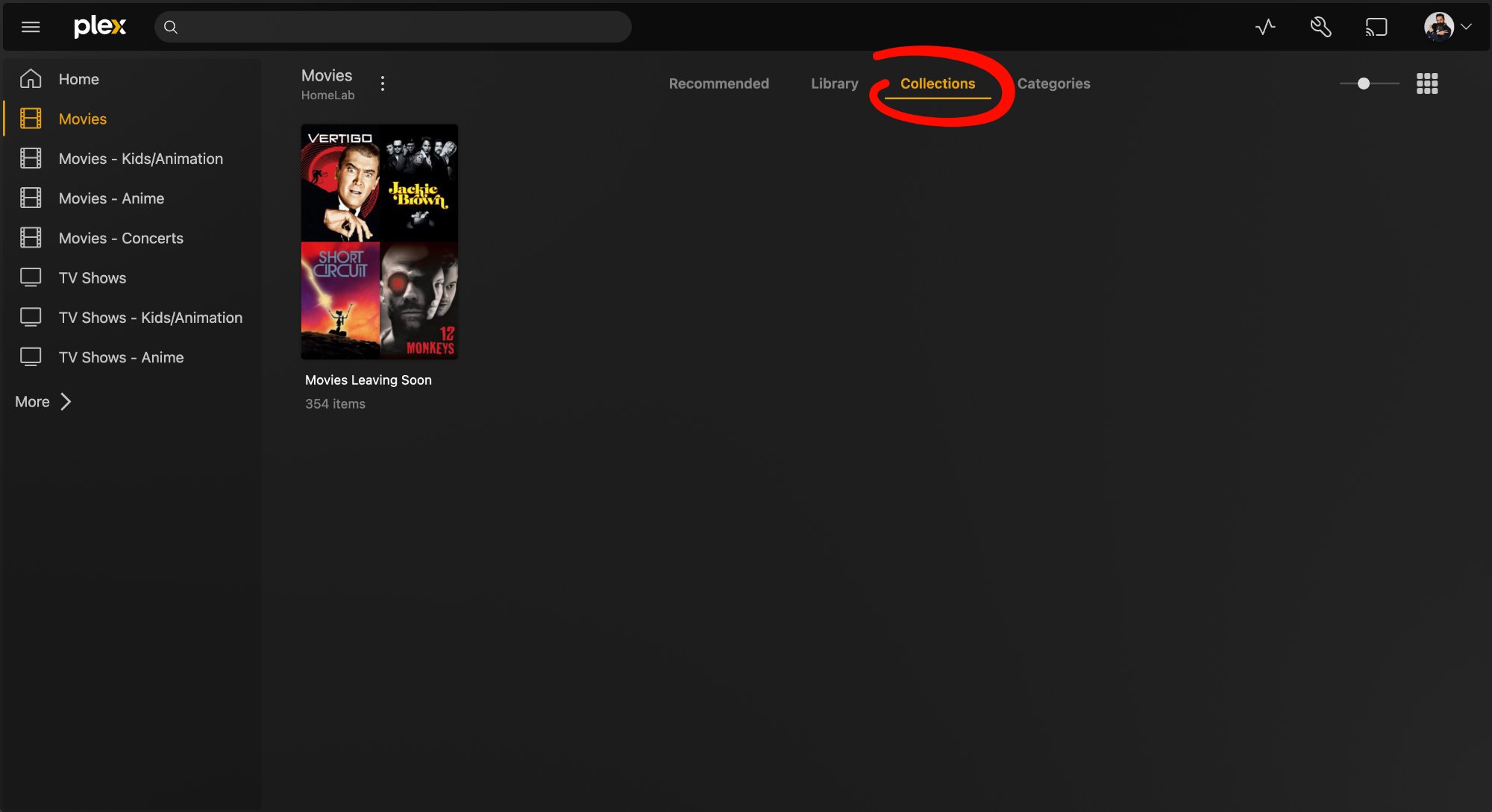 Movies Collections tab in Plex