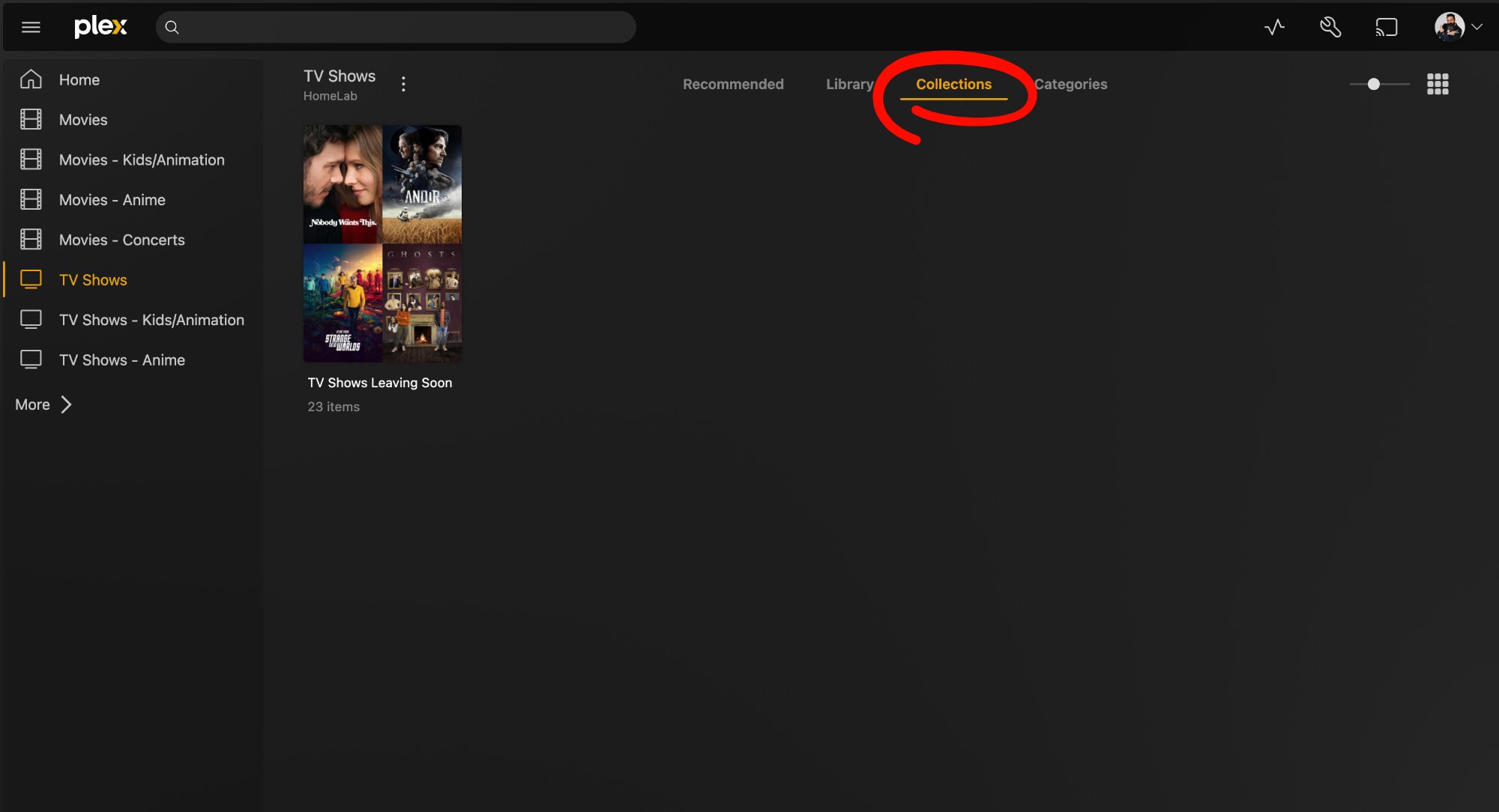 TV Shows Collections tab in Plex